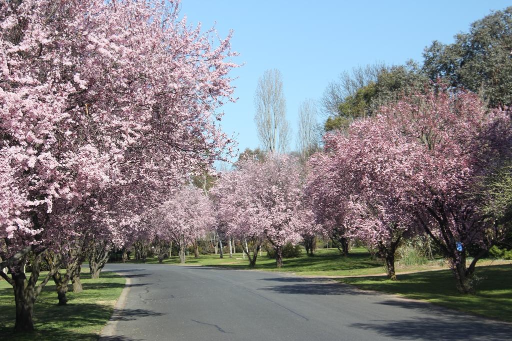 Kelso NSW Accommodation VIC