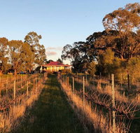 Lillicur Vineyard BB - Accommodation VIC