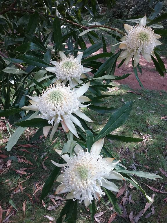 Hallston VIC Accommodation VIC