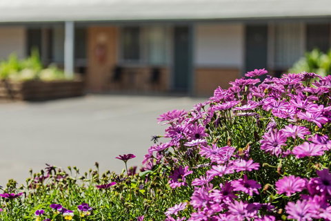 Maffra Motor Inn - Accommodation VIC 2
