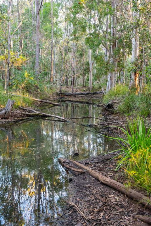 Mango Lodge At River Heads - Accommodation VIC 3