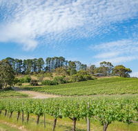 McLaren Vale Getaways - Accommodation VIC