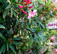 Mercury motor inn - Accommodation VIC