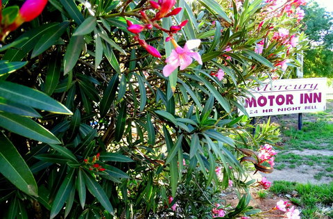 Mercury Motor Inn - Accommodation VIC 0