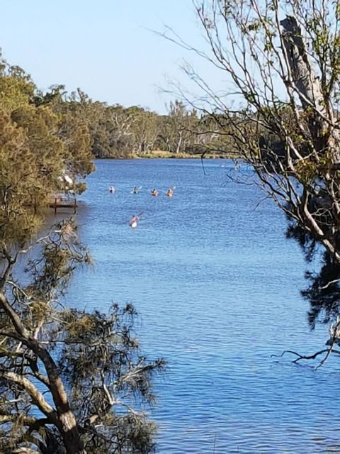 Jacaranda Hideaway Bed & Breakfast - Accommodation VIC 19