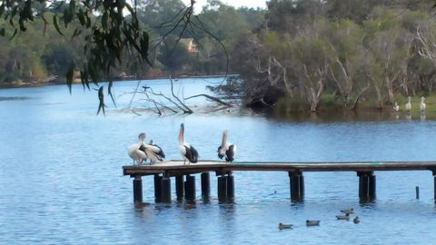 Jacaranda Hideaway Bed & Breakfast - Accommodation VIC 18