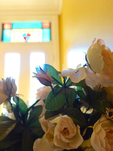 The Blacksmiths Cottage - Accommodation VIC 16