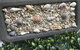Beach House At SeaScapes.. - thumb 27