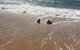 Beach House At SeaScapes.. - thumb 30