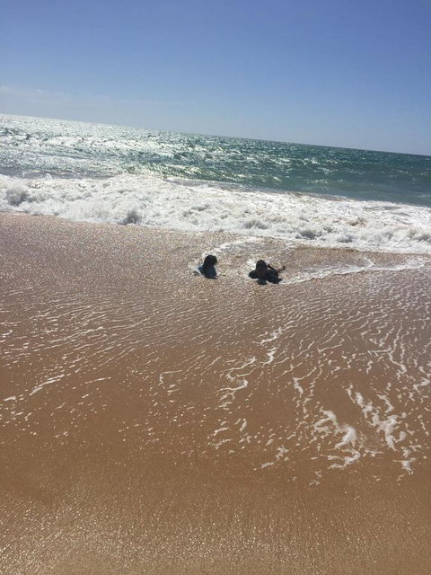 Beach House At SeaScapes.. - Accommodation VIC 30