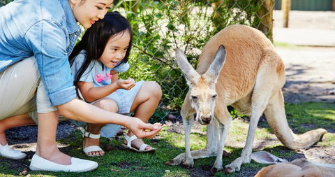 Banksia Tourist Park - Accommodation VIC 29