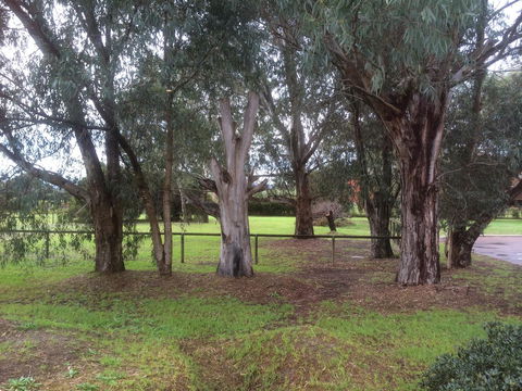 Nivalis Bed And Breakfast - Accommodation VIC 29