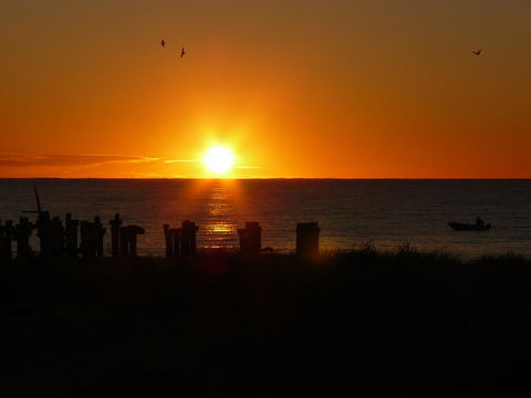 Jurien Bay Tourist Park - Accommodation VIC 28