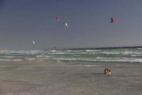 Dongara Tourist Park - Accommodation VIC 33