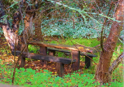 Black Cockatoo Lodge - Accommodation VIC 44