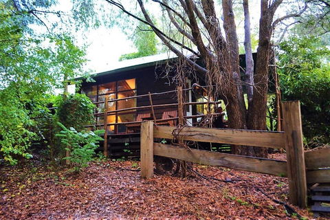 Black Cockatoo Lodge - Accommodation VIC 4