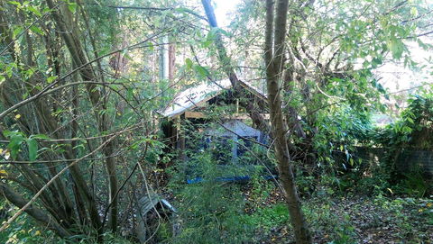 Black Cockatoo Lodge - Accommodation VIC 22