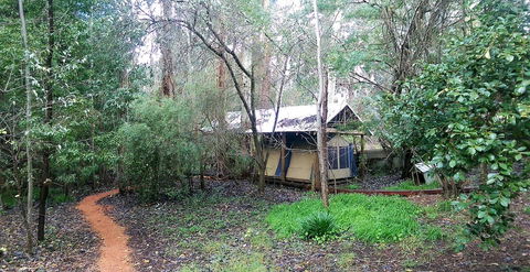 Black Cockatoo Lodge - Accommodation VIC 10