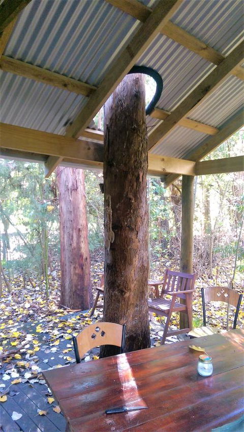 Black Cockatoo Lodge - Accommodation VIC 19