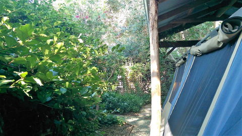 Black Cockatoo Lodge - Accommodation VIC 12