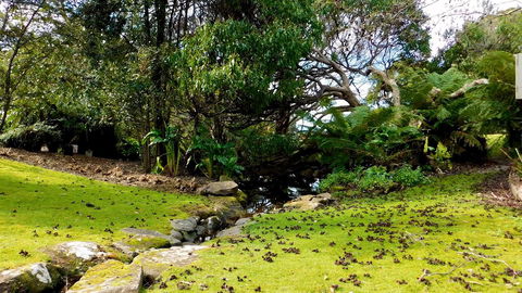 43 Degrees Bruny Island - Accommodation VIC 8