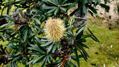 43 Degrees Bruny Island - Accommodation VIC 11