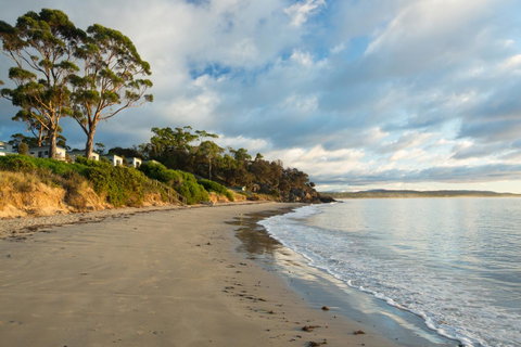 Swansea Beach Chalets - Accommodation VIC 44