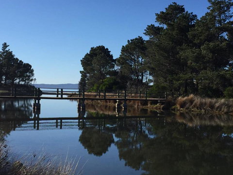 Swansea Holiday Park Tasmania - Accommodation VIC 41