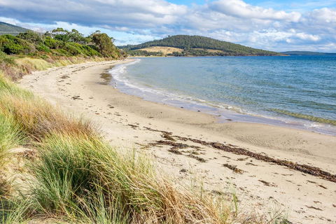 Omaroo Cottage Bruny Island - Accommodation VIC 14