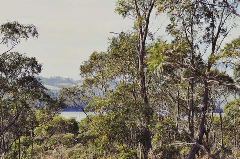 Oyster Cove Chalet - Accommodation VIC 17