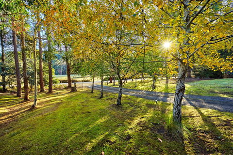 Oyster Cove Chalet - Accommodation VIC 1