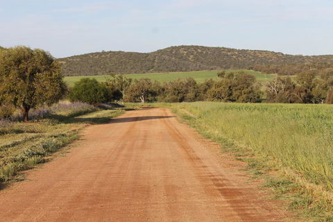 Northbrook Farmstay - Accommodation VIC 2