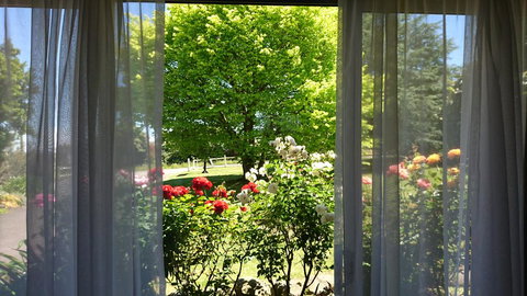 Opal Motel - Accommodation VIC 1