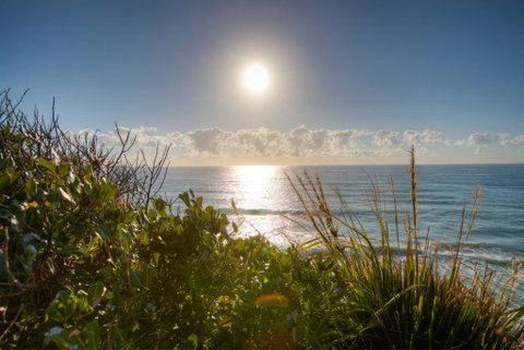 Osprey - Sapphire Beach NSW - Accommodation VIC 2