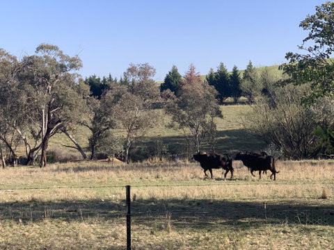 OConnell Retreat BnB - Accommodation VIC 1