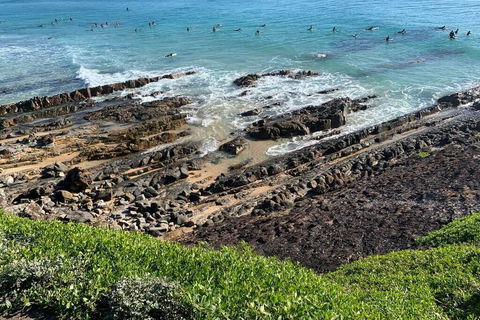 Pandanus - Accommodation VIC 1
