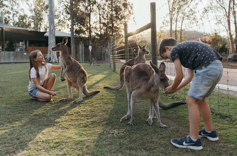 Paradise Country Farmstay - Accommodation VIC 1
