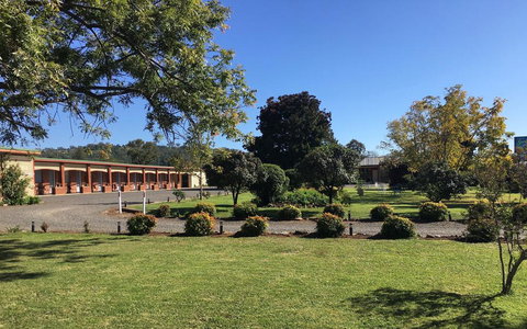 Quirindi Sunflower Motor Inn - Accommodation VIC 3