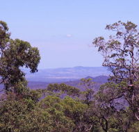 Ravensbourne Escape - Cedar Lodge - Accommodation VIC