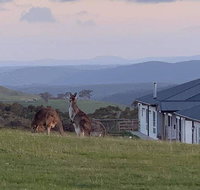 Rooks Edge - Accommodation VIC