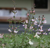 Serendipity on Allyn - Accommodation VIC