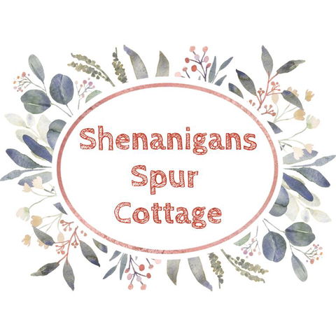 Shenanigans Spur Cottage - Accommodation VIC 3
