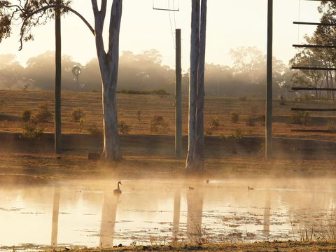 Susan River Homestead - Accommodation VIC 3