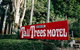 Tall Trees Motel Mountain Retreat - thumb 0
