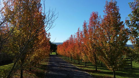 Tamar Valley Farm Stay - Accommodation VIC 3