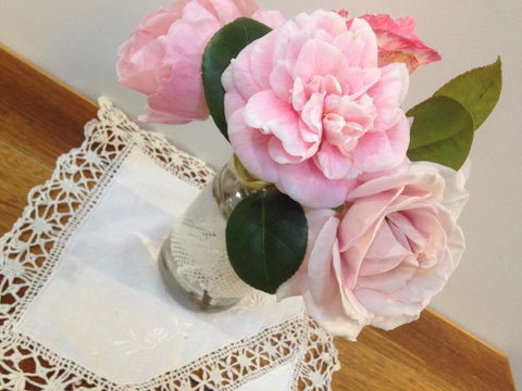 Ellie\'s Cottages - Accommodation VIC 30