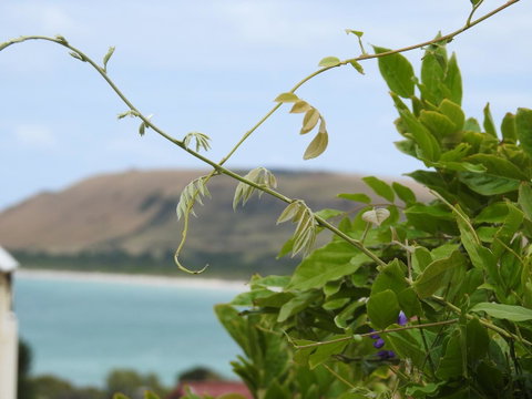 Ellie\'s Cottages - Accommodation VIC 3