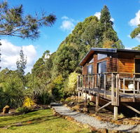 Southern Forest Accommodation - Accommodation VIC