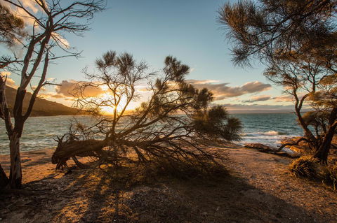 Freycinet Lodge - Accommodation VIC 44