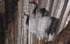 Freycinet Waters - thumb 13
